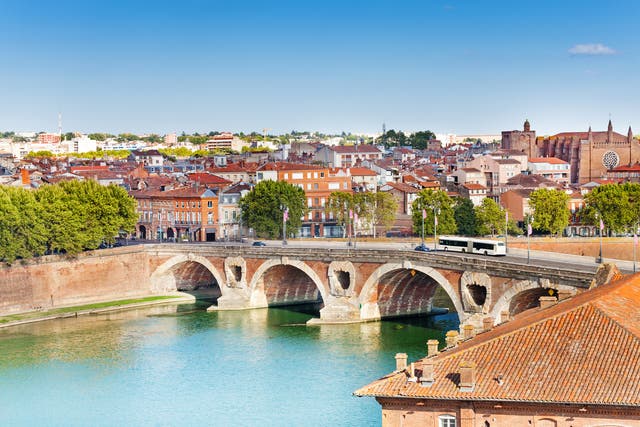 <p>Toulouse and Pont Neuf bridge across the Garonne </p>