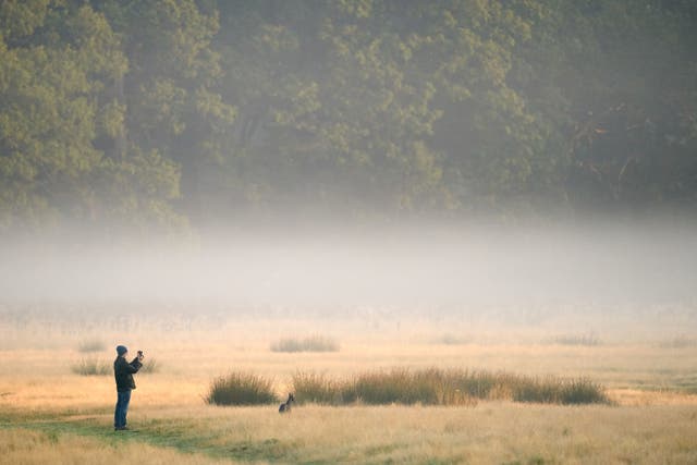 <p>Mist in Richmond Park, London on September 16, 2021</p>