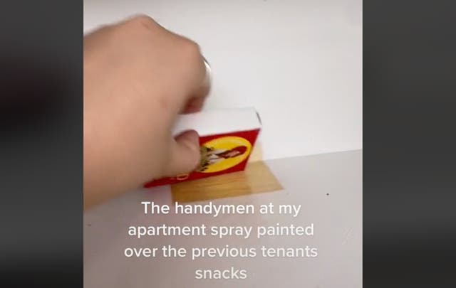 <p>Landlord bizarrely paints over tenants belongings rather than removing them</p>
