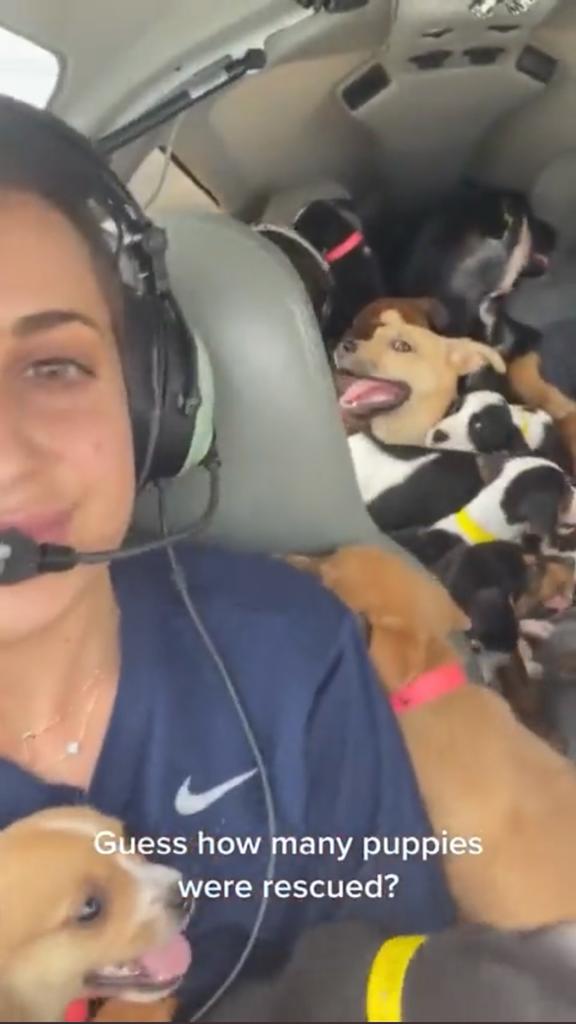 A video of a woman and her friends flying 27 puppies to save them from being euthanised has gone viral