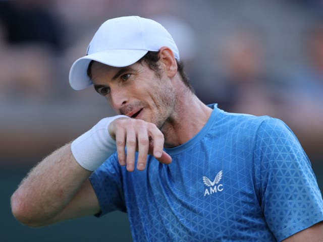 <p>Murray has confirmed he will not take part in the Davis Cup</p>