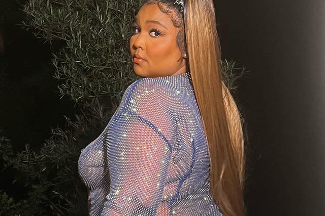 <p>Lizzo in her sparkly sheer purple gown</p>