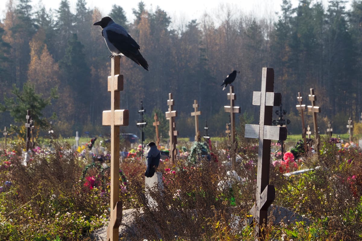 Russia sets new daily COVID-19 deaths record