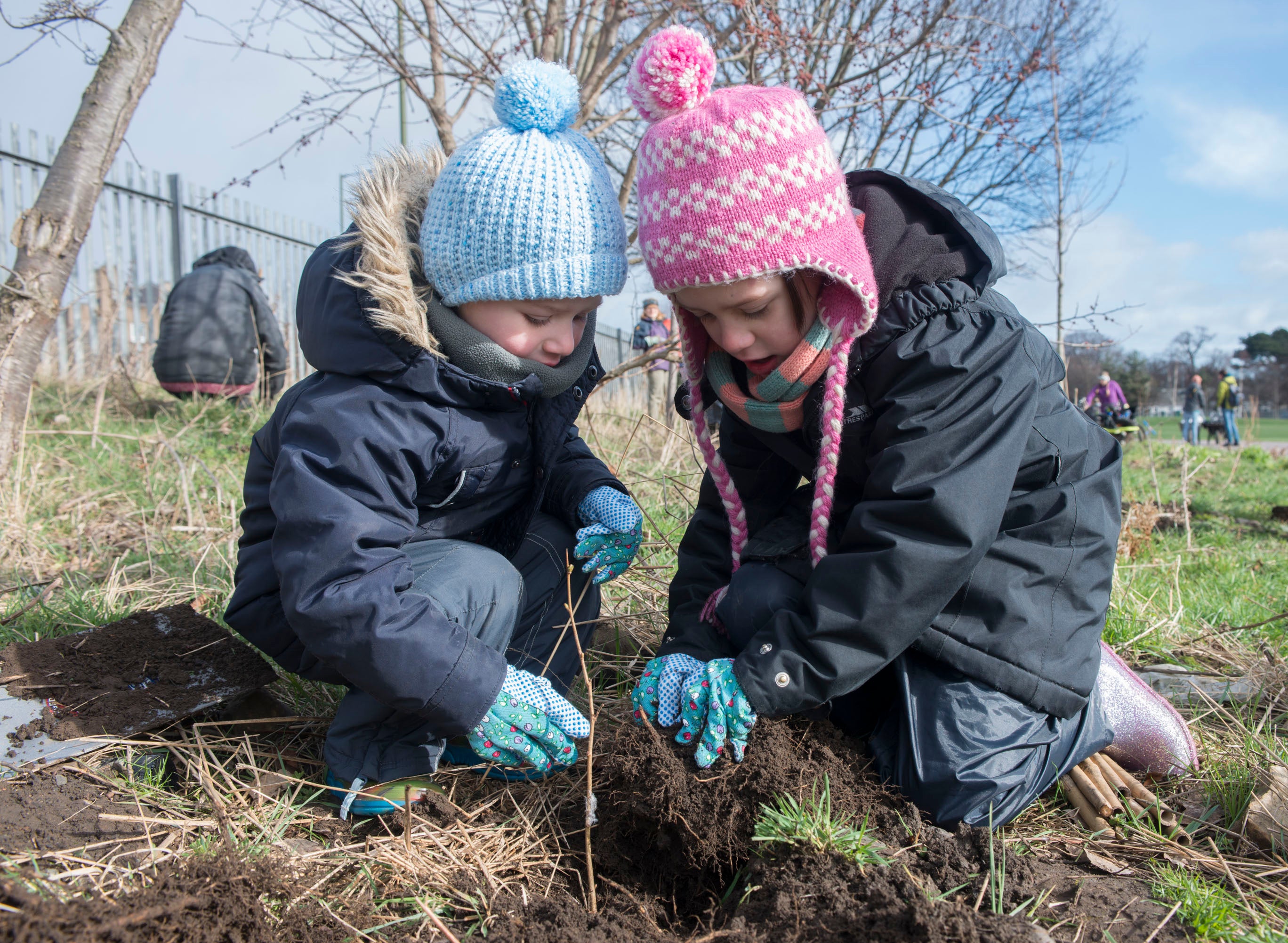 <p>Two children plant a tree at Saughton Park in Edinburgh. </p>