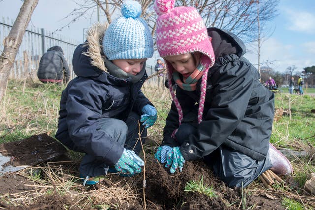 <p>Two children plant a tree at Saughton Park in Edinburgh. </p>