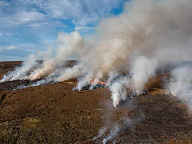 <p>Welcome to Britain. Heather is set alight on peatlands in the North York Moors National Park</p>