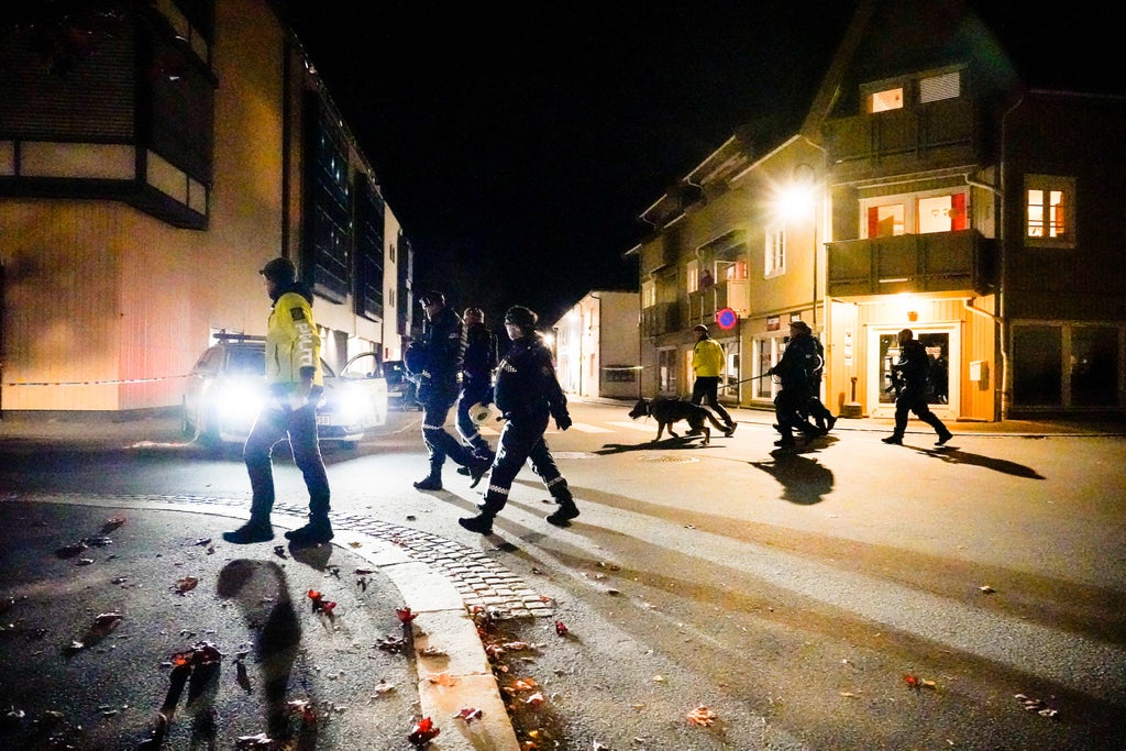Norway attack - live: Several dead in Kongsberg after man shoots people with bow and arrows near Oslo