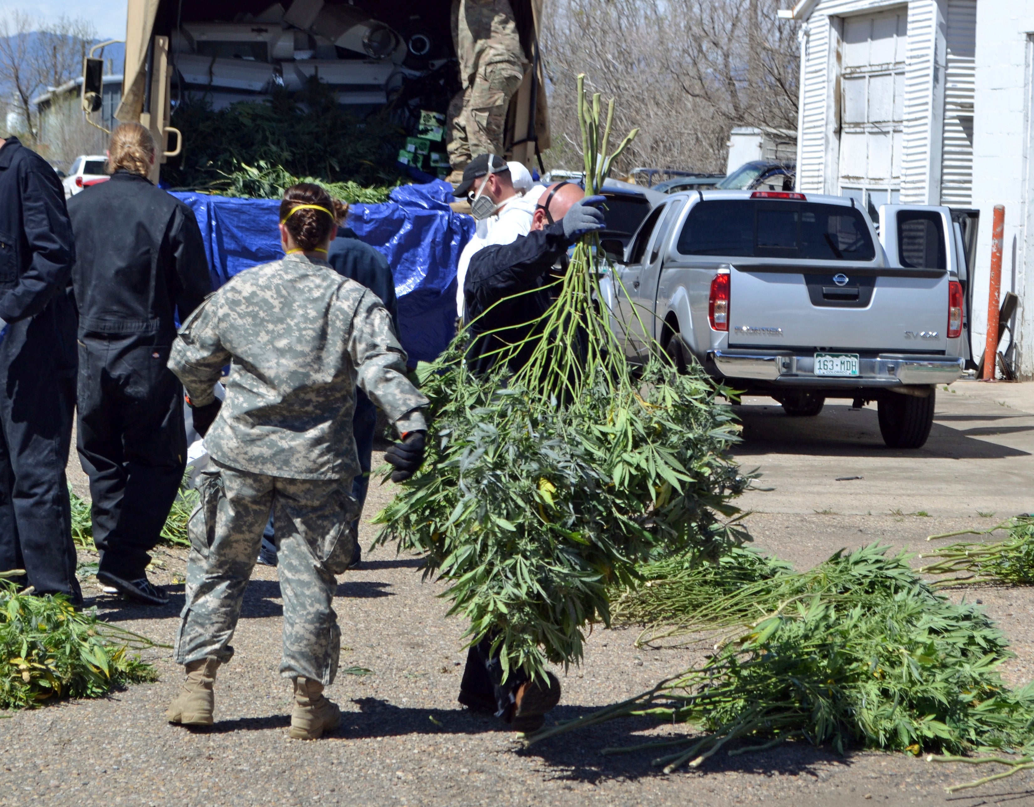 Oregon Marijuana Emergency