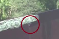 Video shows girl, 7, being abandoned by people smuggler at US-Mexico border wall