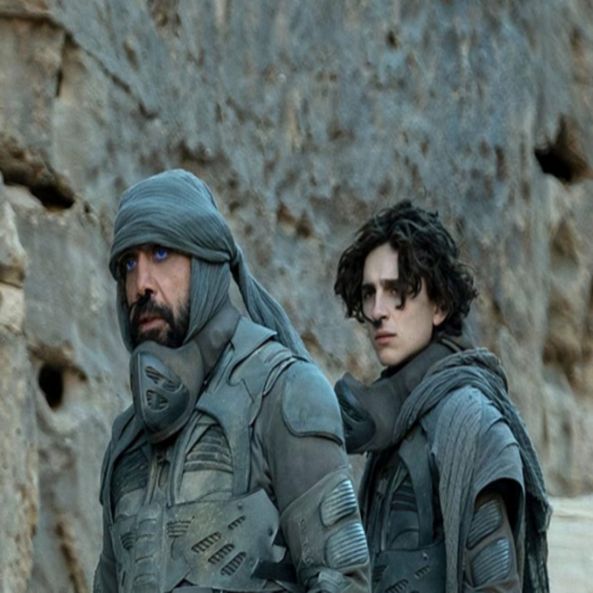 Dune: Timothee Chalamet, Javier Bardem and Stellan Skarsgard on making the  blockbuster of the year | The Independent