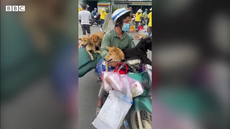 Vietnam couple whose dogs were culled sparking backlash adopt 15 new puppies