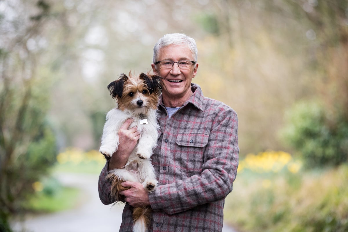 paul o grady won t let three heart attacks stop him enjoying life the independent