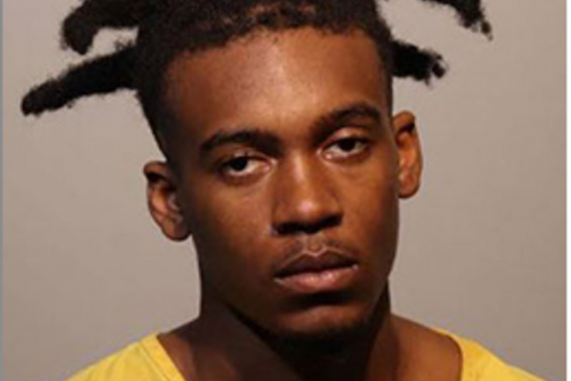 <p>Veondre Avery had left gun loaded and without safety on, police say</p>