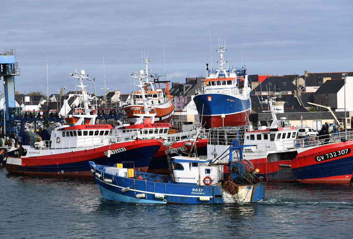 ‘Go slow’ strategy for customs checks ‘planned by France in fishing row’ ‘Go slow’ strategy for customs checks ‘planned by France in fishing row’