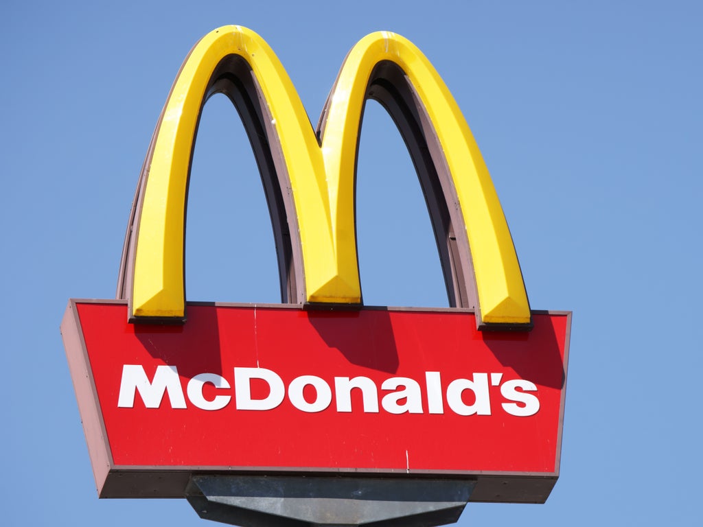 McDonald’s launches controversial vegan McPlant burger in US