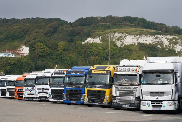 <p>Lorries parked in Dover, Kent </p>