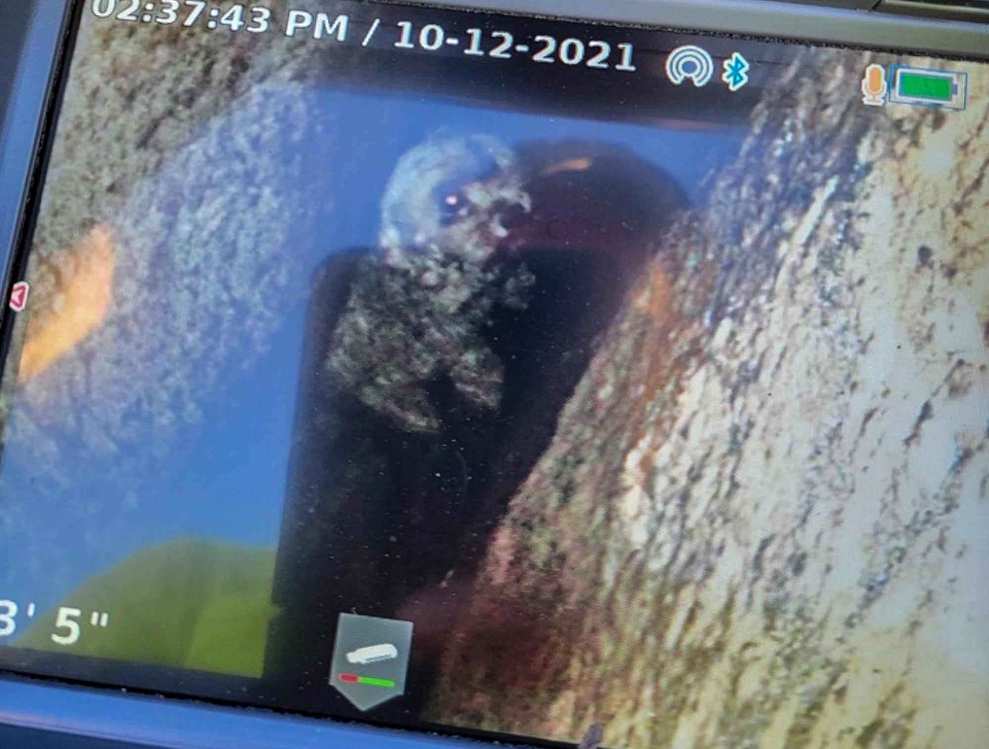 This photo provided by New York State Parks on Wednesday, Oct. 13, 2021, shows a 12-year-old dog named Liza being viewed on a plumbing camera in a crevice in Kerhonkson, N.Y.