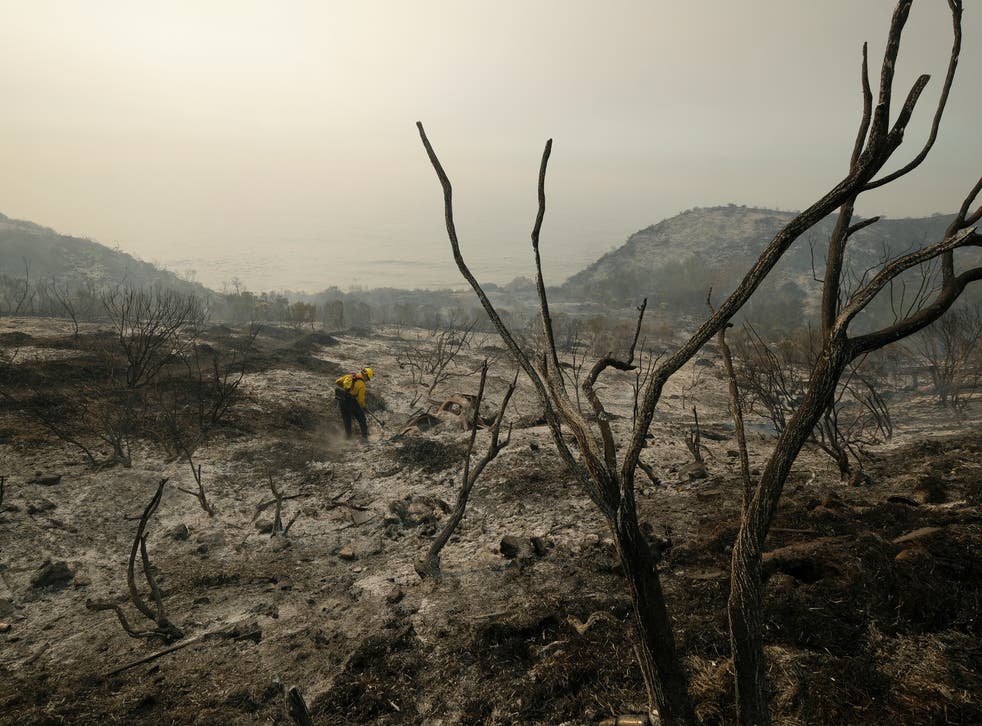 AP EXPLICA-LA NIÑA