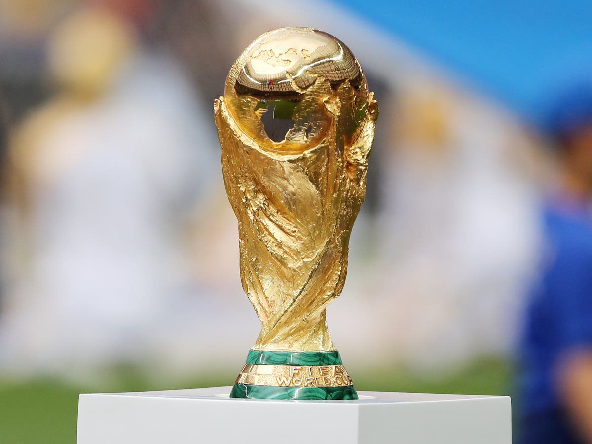 MPs to examine whether 2030 World Cup bid feasibility study is good value