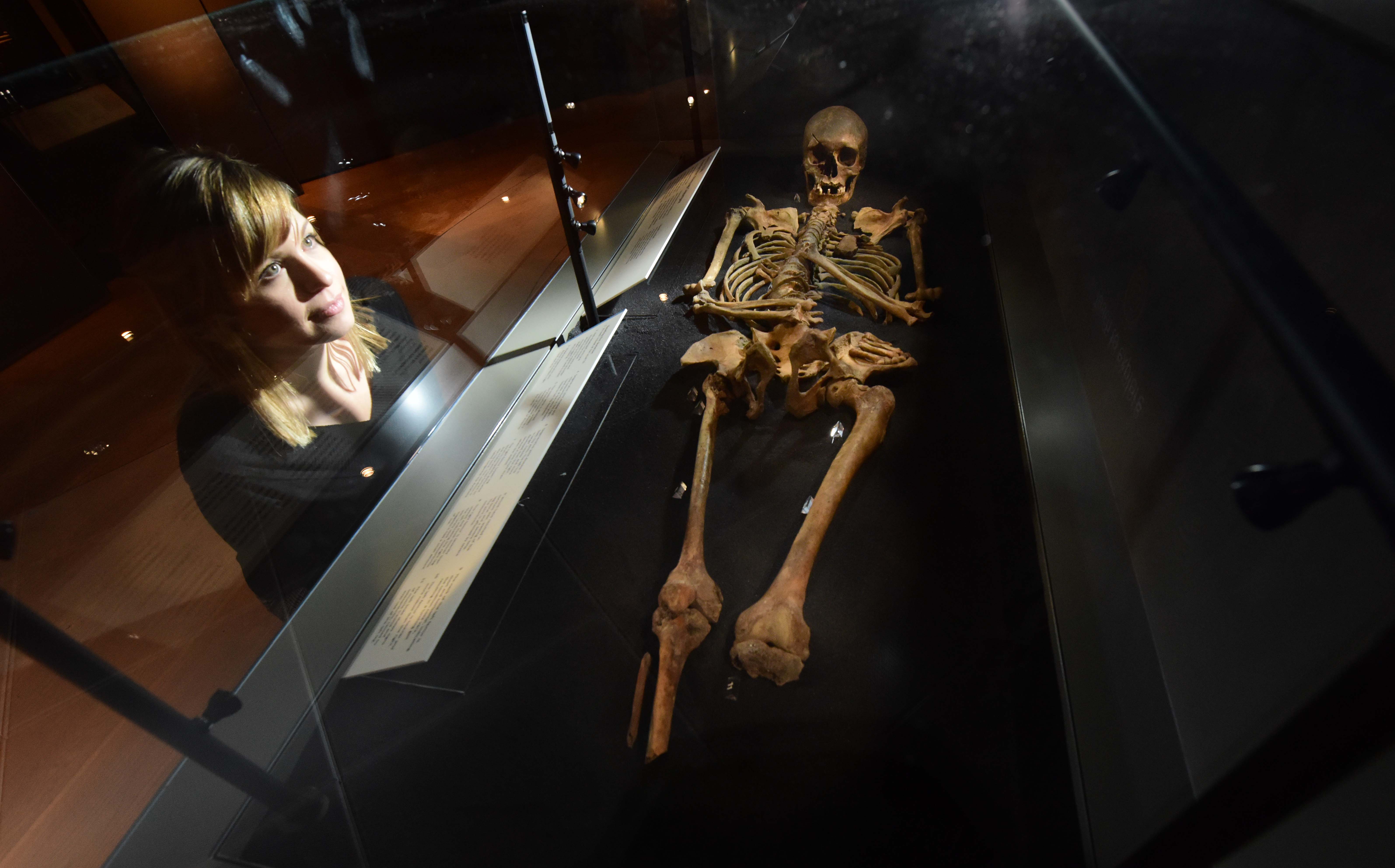 Skeleton of a Viking woman on display at JORVIK Viking Centre