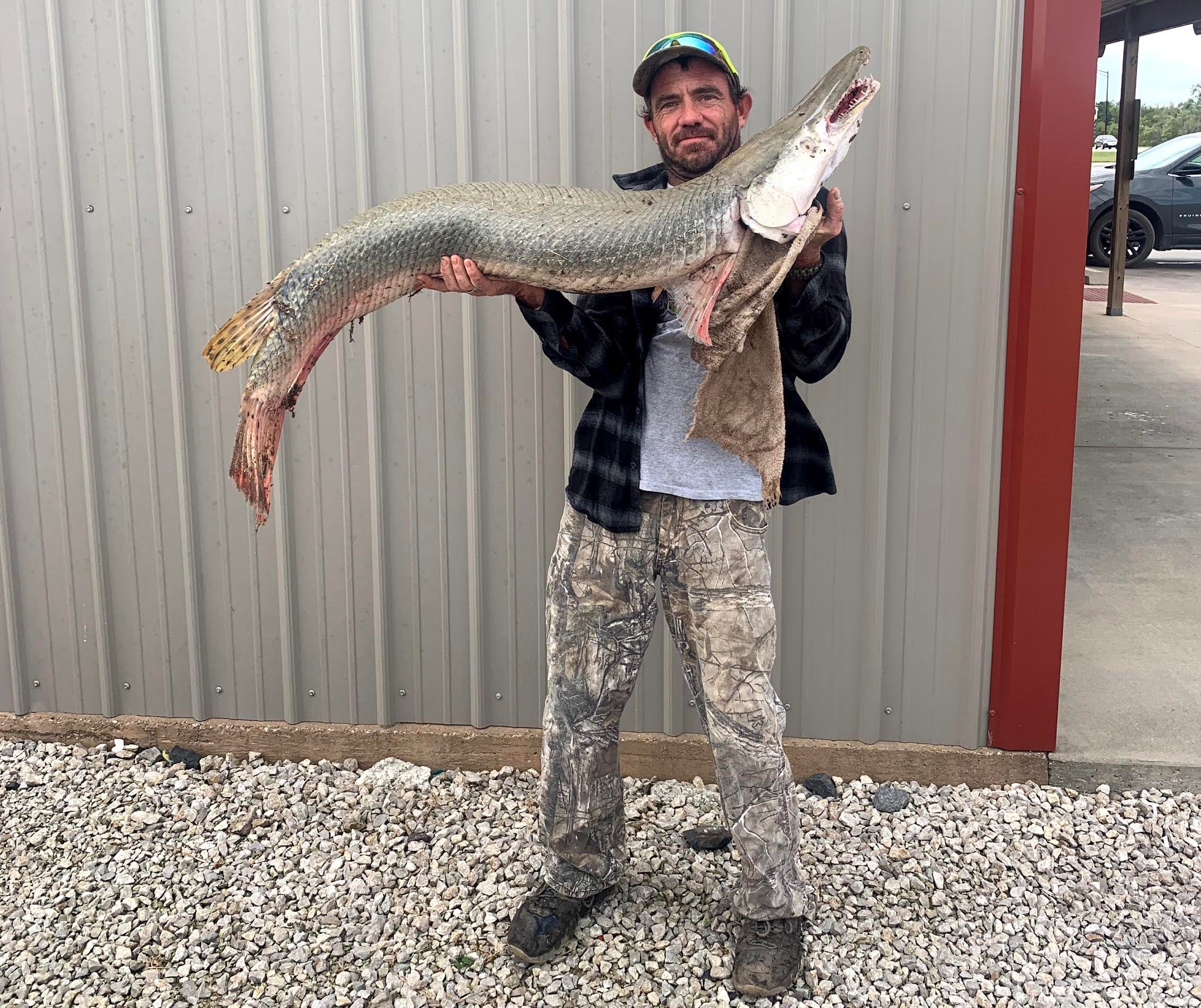 The alligator gar was caught in Neosho River