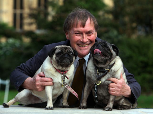 <p>Sir David Amess with his pugs, Lily and Boat, in 2013</p>