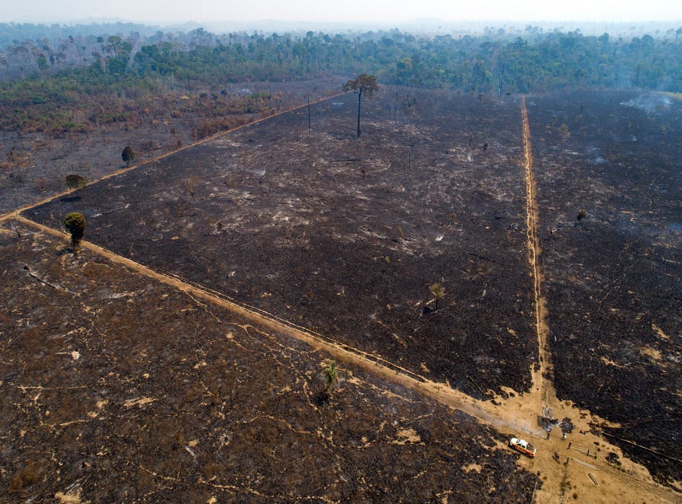 BRASIL-AMAZONIA