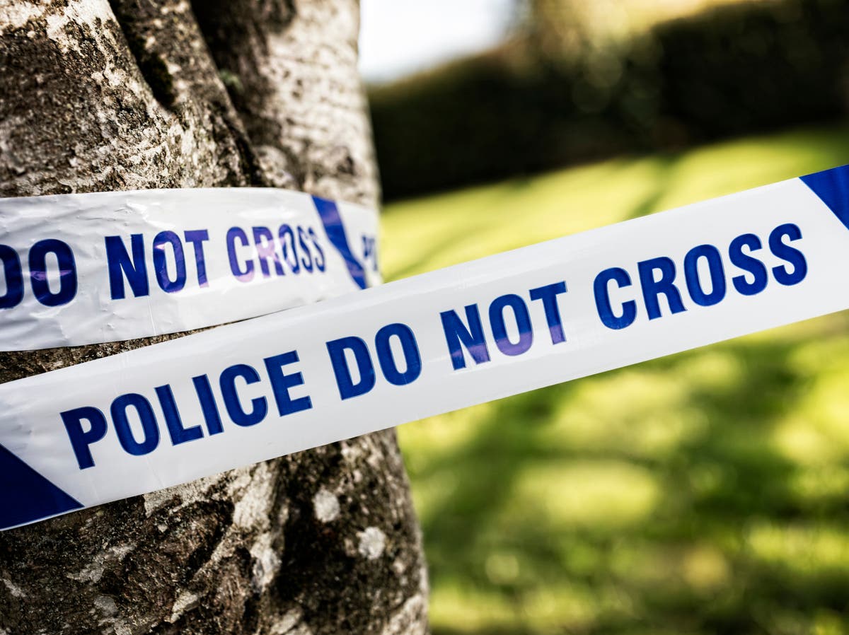 Mother arrested as remains found of two daughters who vanished six years ago