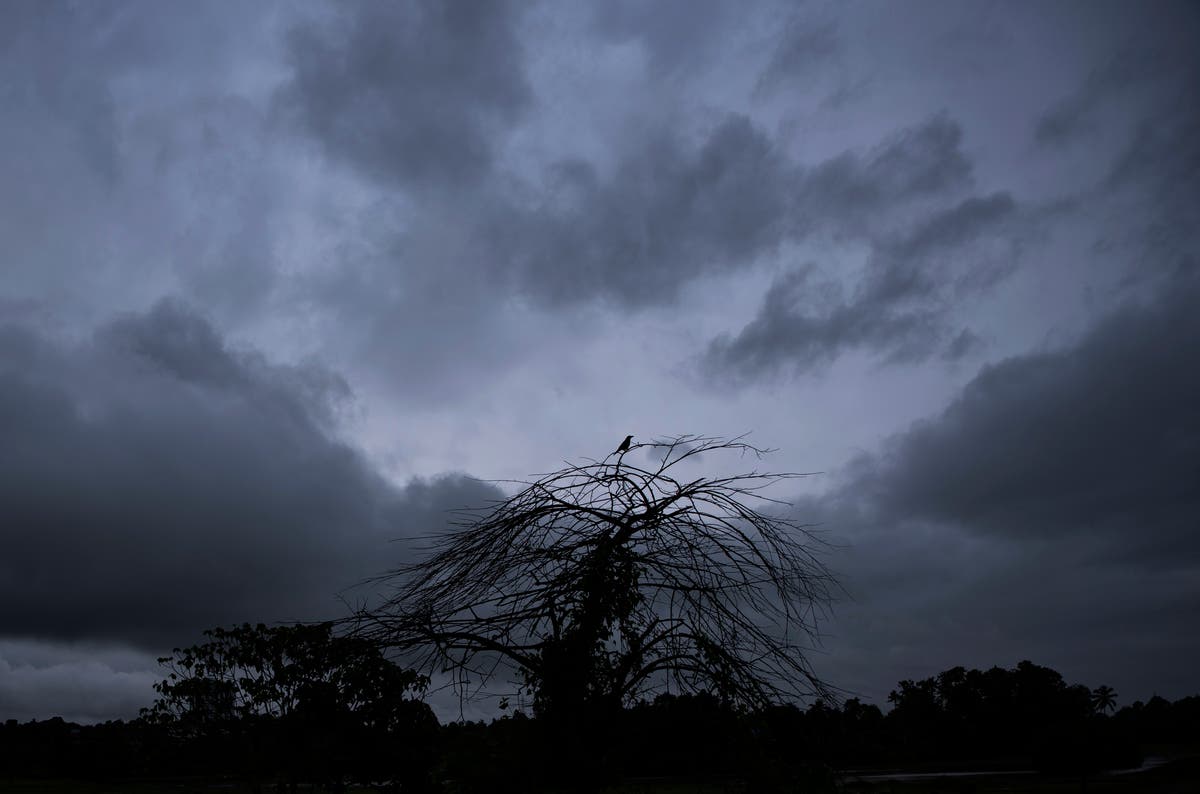 Heavy rains, floods leave 8 dead, 12 missing in south India
