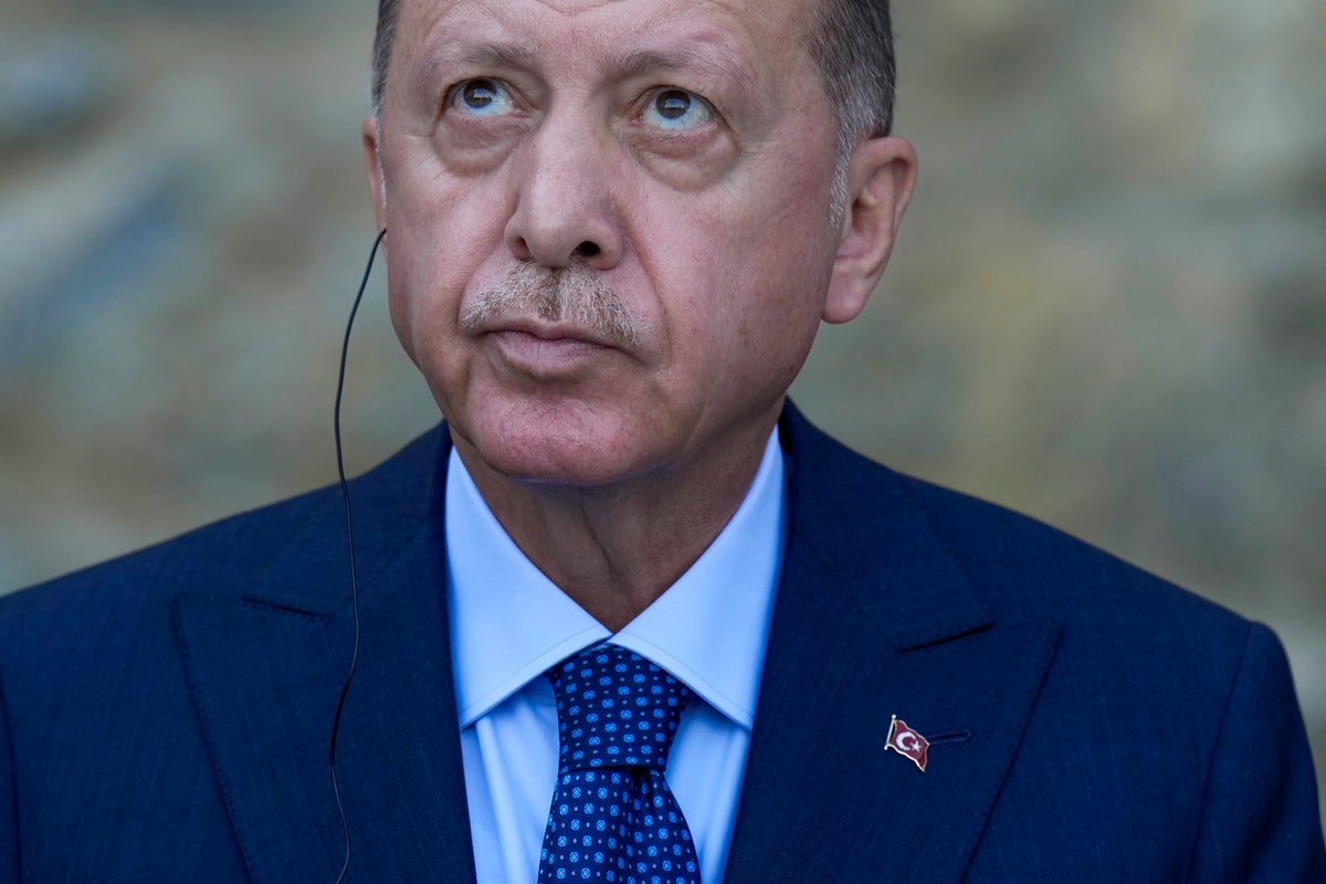 Osman kavala erdogan