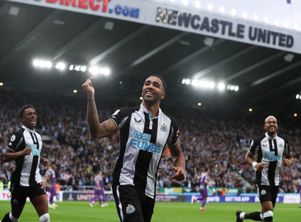 <p>Callum Wilson celebrates scoring Newcastle’s opener</p>