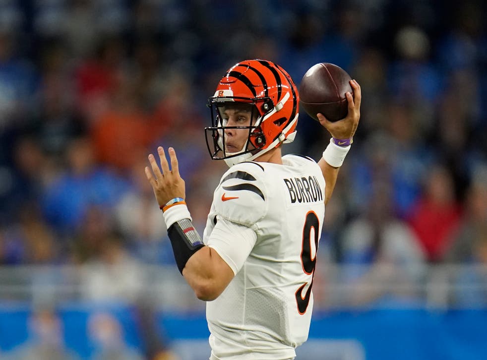 BENGALS LIONS