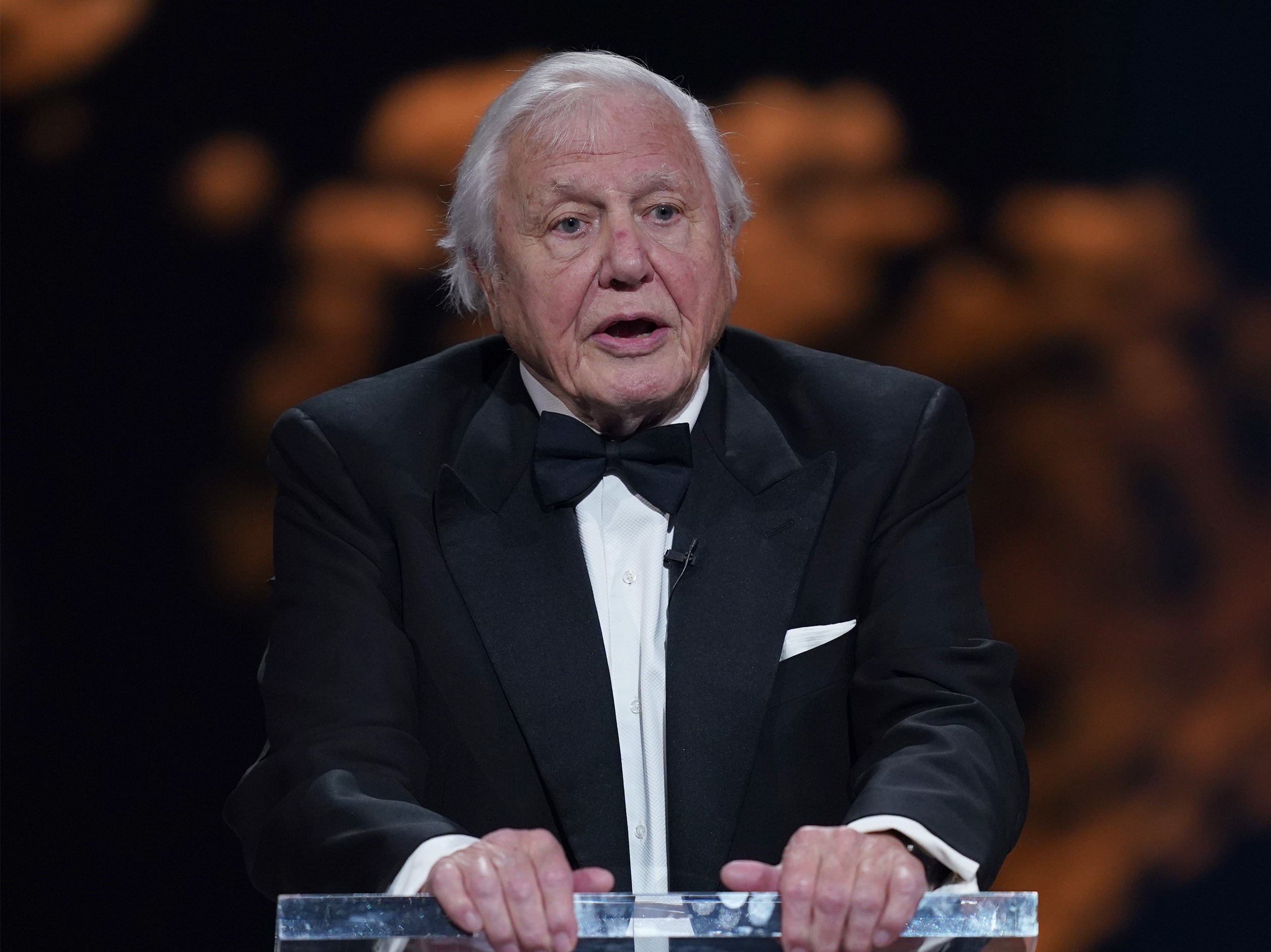 David Attenborough on stage at the awards ceremony