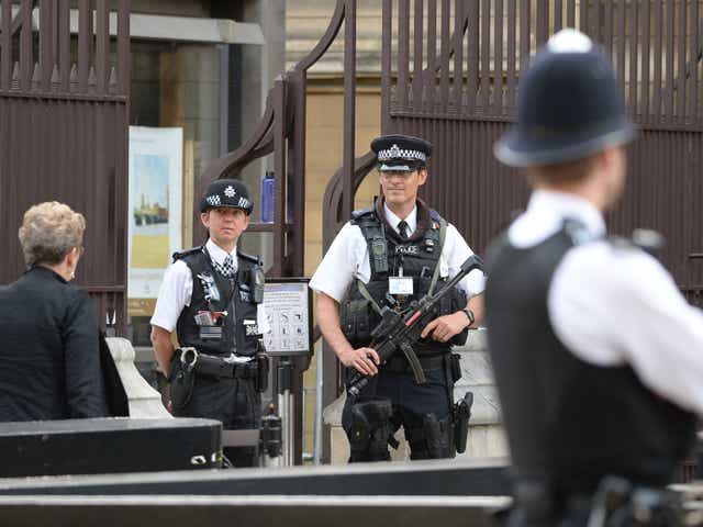 <p>The boy was arrested in a proactive operation by counterterror police (not pictured) </p>