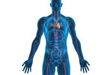 AI ‘can calculate person’s chances of suffering a heart attack just by listening to the sound of their voice’