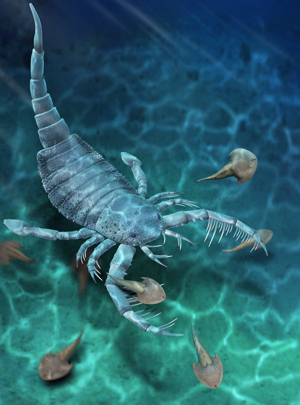 A reconstruction of the ‘Terropterus xiushanensis’ sea scorpion