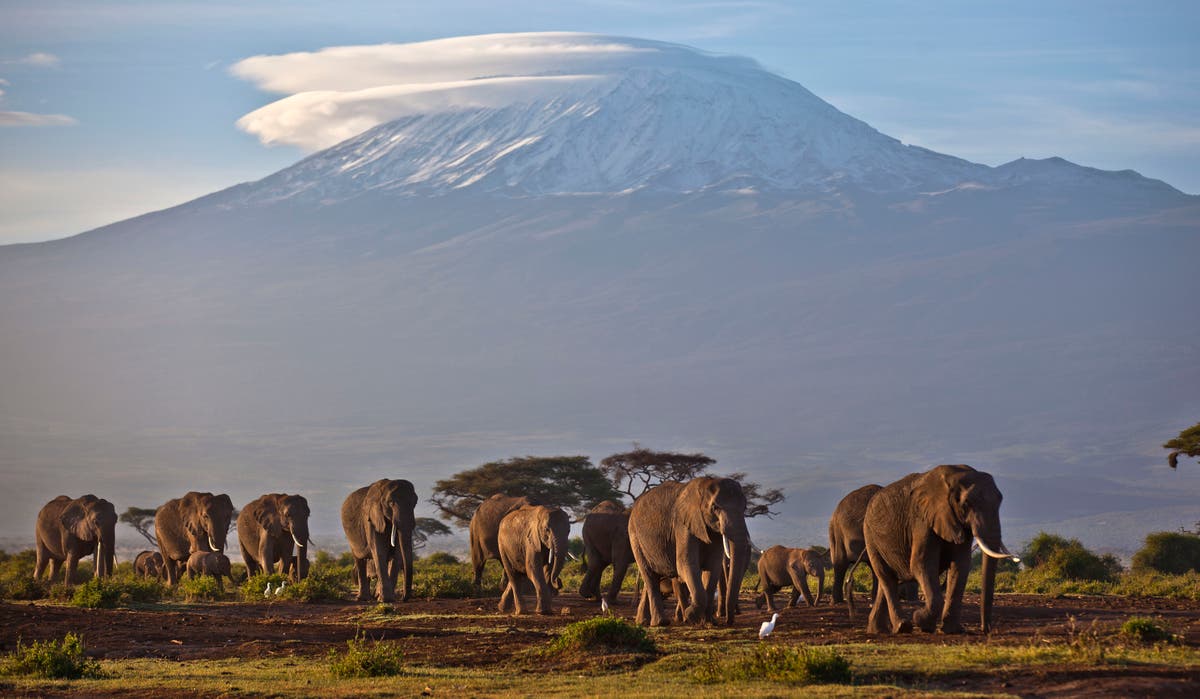 Climate report: Africa's rare glaciers soon to disappear