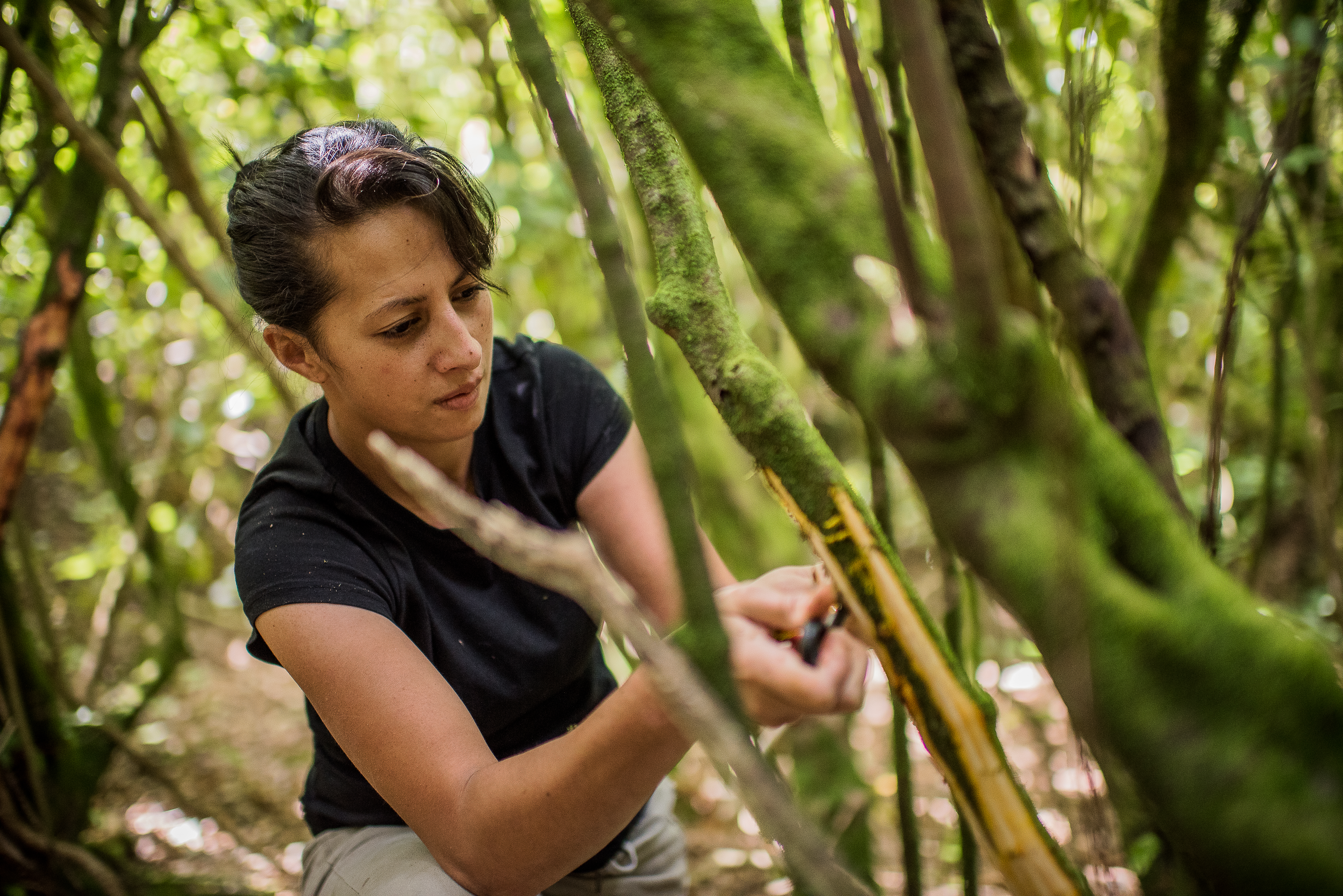 <p>Monique Fiso, chef at Wellington restaurant Hiakai, forages for ingredients: ‘After many years studying other cuisines, I realised I knew very little about my own’ </p>