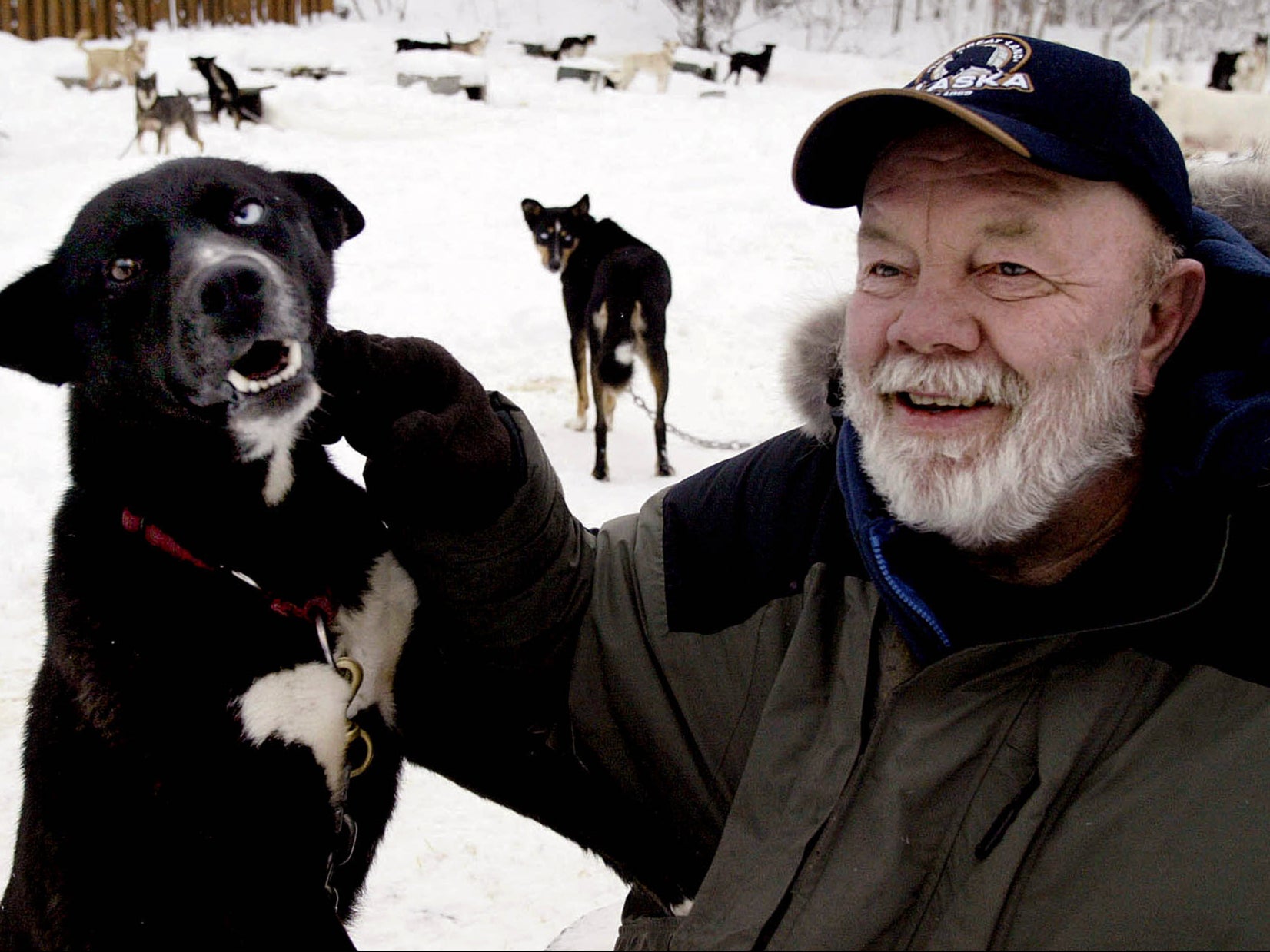 Paulsen sits with his favourite Alaskan husky, Flax, at his Willow, Alaska, home in 2005