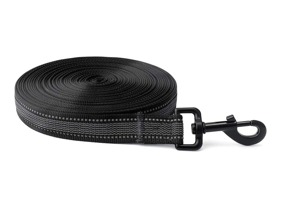 Best dog leads and leashes 2022: Retractable and reflective ...