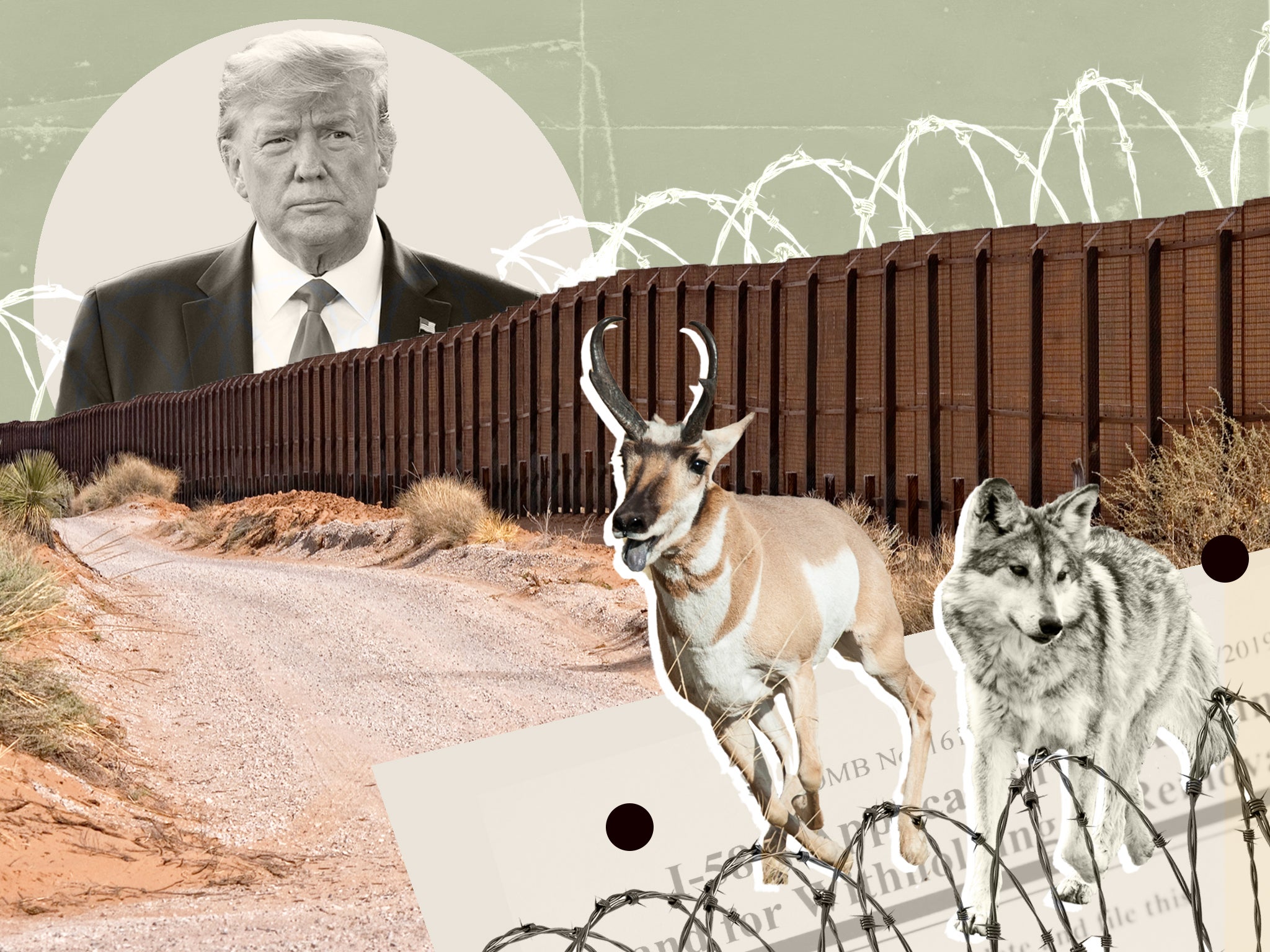 The US-Mexico border wall could obstruct the movement of 122 mammal species as they are displaced by the effects of climate change, a recent study found