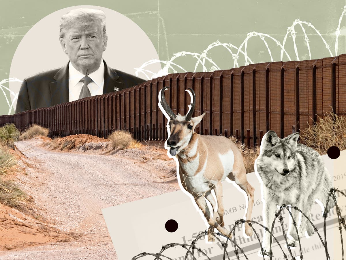 The destructive legacy of Trump’s border wall