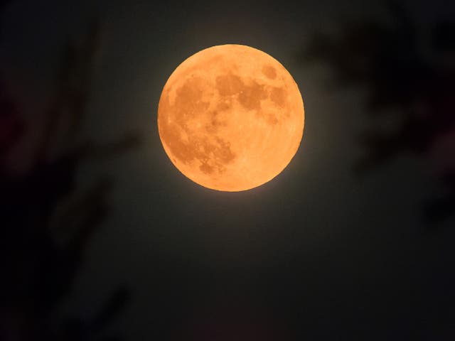 <p>The full Moon in October 2021 is known as the Hunter’s Moon</p>