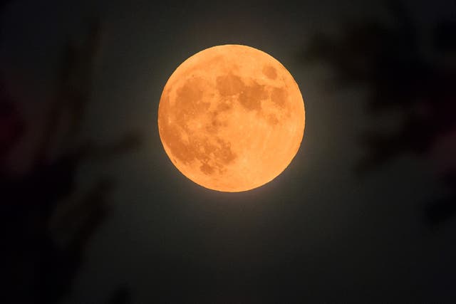 <p>The full Moon in October 2021 is known as the Hunter’s Moon</p>