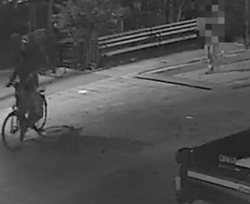 Video captures moment New York deliveryman was stabbed to death for his bike