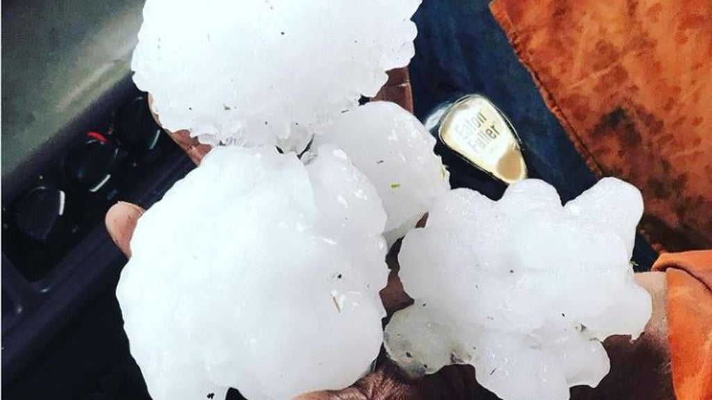 Australia’s ‘biggest-ever’ hailstones 16cm in diameter shatter windscreens and pierce holes in roofs