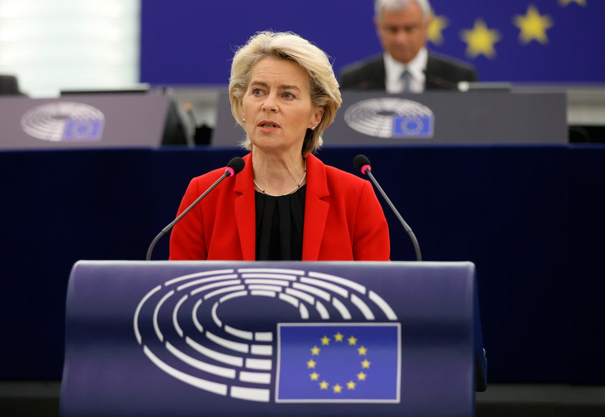 EU chief says key to energy crisis is pushing Green Deal EU chief says key to energy crisis is pushing Green Deal
