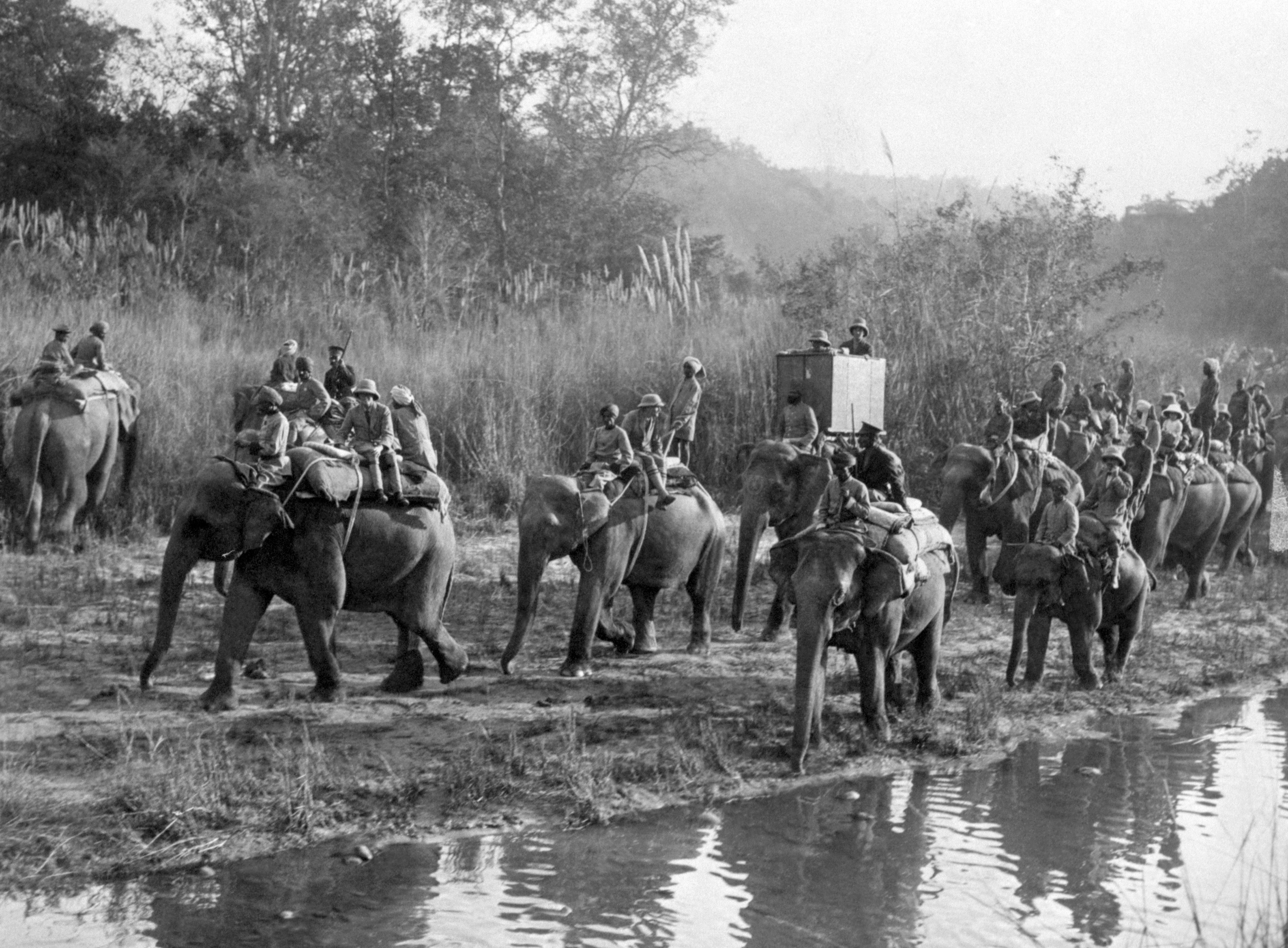 The prince rides an elephant on the way to a tiger shoot in Nepal