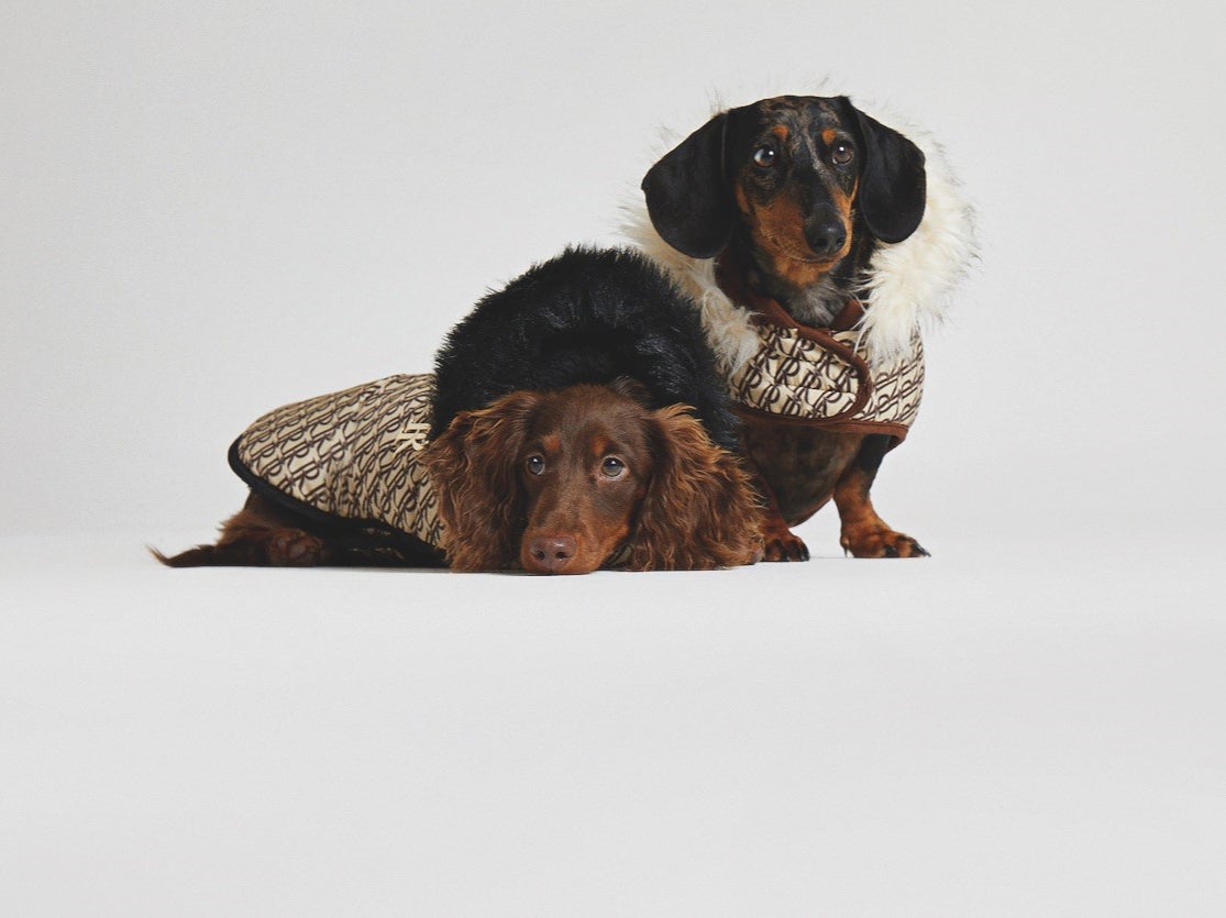 River Island’s new dog clothing and accessories collection, RI Dog, includes jumpers, coats, leashes and more