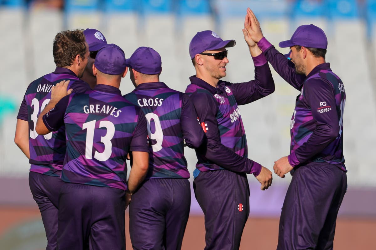 Scotland dare to dream as they chase T20 World Cup history